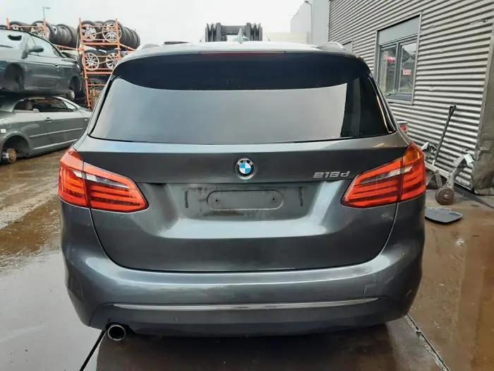 Pas bezpieczenstwa srodkowy tyl BMW 2-Serie