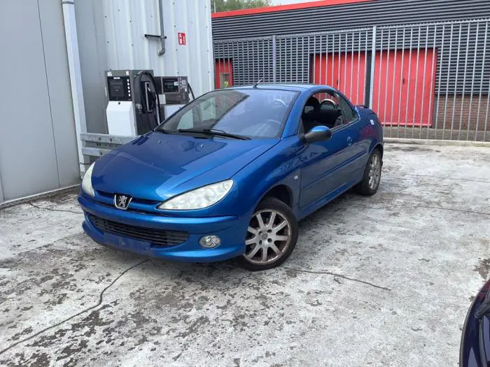 Remklauw (Tang) links-achter Peugeot 206